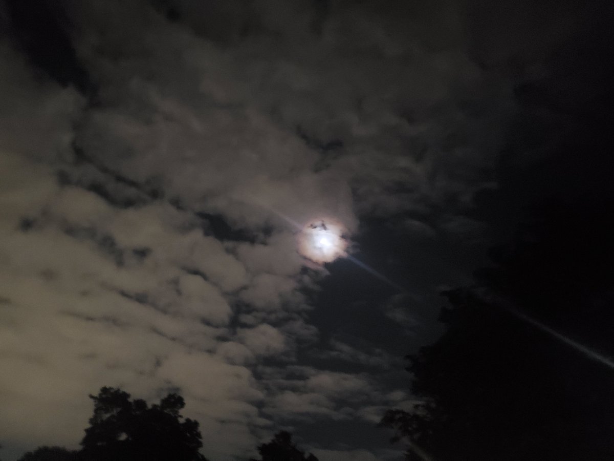 TimothyEleven57's tweet photo. Clouds Keep Revealing Alien-Like Heads During High Plasma Grid Activity (Post May 11 Portal) Continued.

Images for:
May 21 – Multiple “peeking/observing” shapes at different times 

May 26– Alien-like head https://t.co/zDEtrAZ4lb