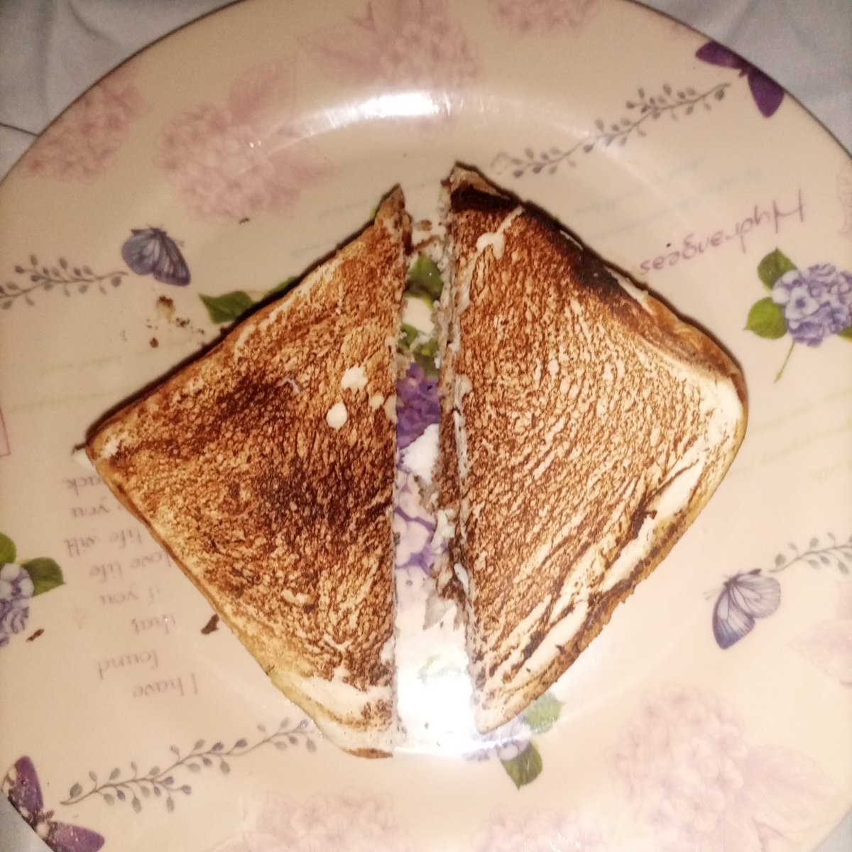 scarxasm's tweet photo. doing somethin gnice for once in a while i made a grilled chees https://t.co/XmxnERF9Wh