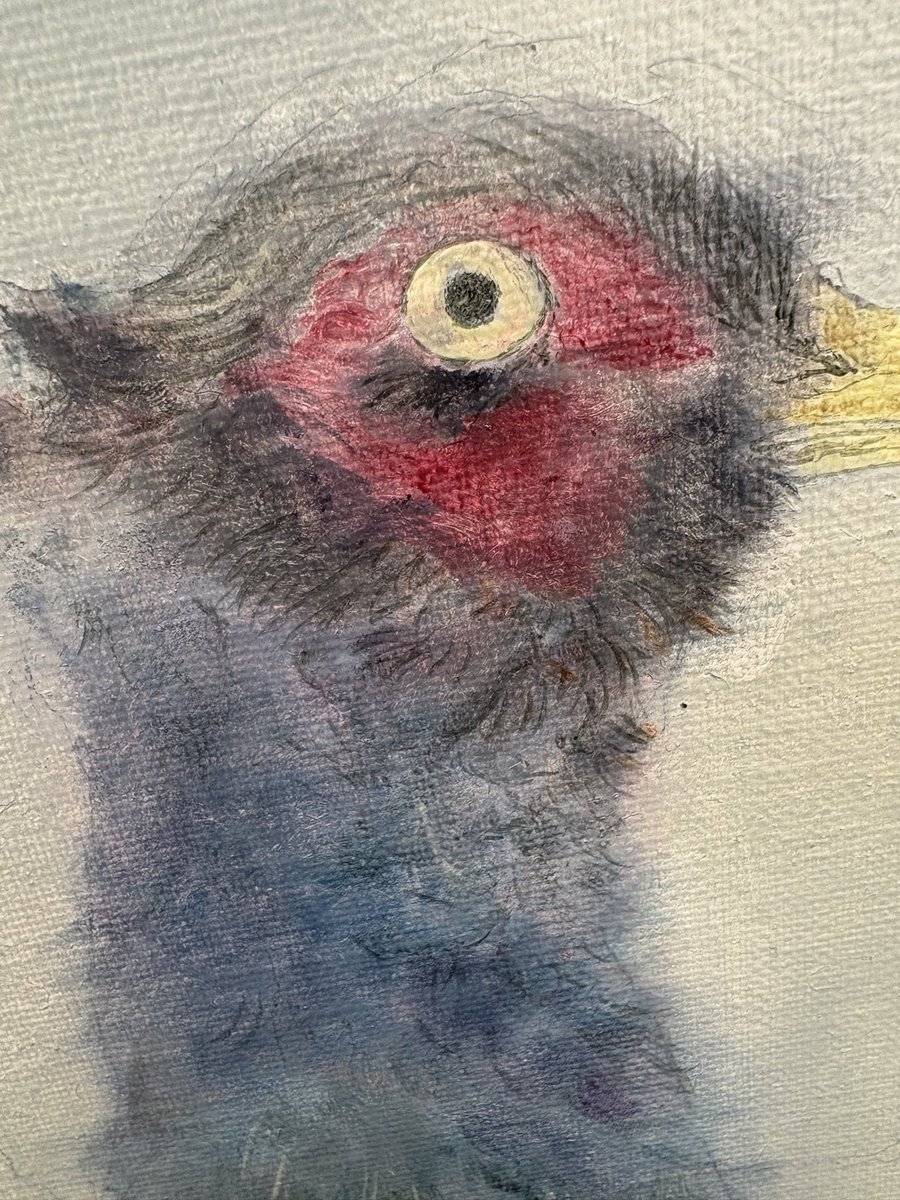 sakudp4's tweet photo. 完成　日本画っぽく見えたらいいな
　　　　　　　→毛を細い筆で描きました。
#油絵 https://t.co/9KNsI55mmf