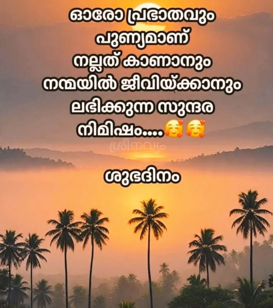 Sunildath's tweet photo. @Karnnan2255 Good morning https://t.co/fX09irKZxl