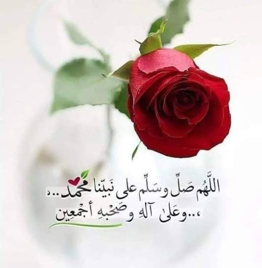 نـايـف بـن خـتـام 🇸🇦 tweet media