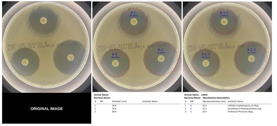 CarbConnect's tweet photo. 🔬 ZOI VET on CarbConnect®: AI measures zones; operator confirms the isolate; the system applies veterinary breakpoint tables → S / R / NO_MATCH per drug. Human-in-the-loop AST for the vet lab. RUO.
https://t.co/wGA0mXejjO
#VetMicrobiology #AST #HumanInTheLoop https://t.co/tT6cxIIY1Q