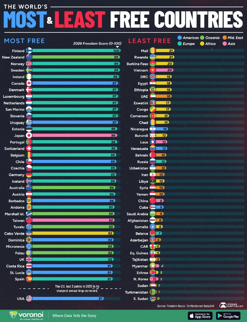 Visual Capitalist tweet media
