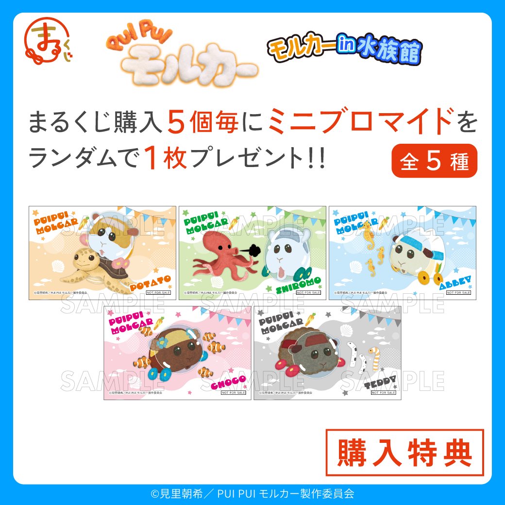 PUI PUI モルカー【公式】 (@molcar_anime) / Posts / X