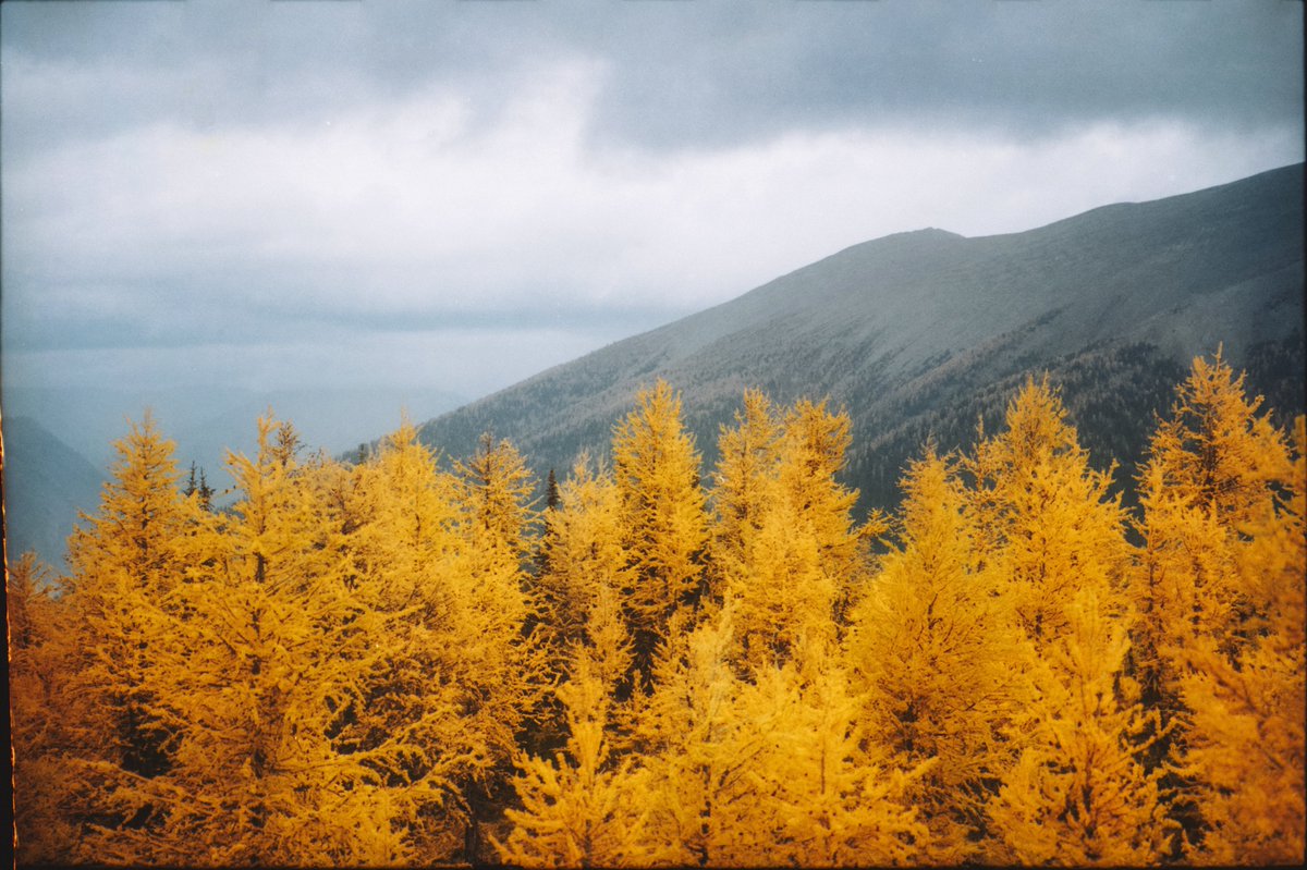 alexmack__'s tweet photo. mountain seasons on 35mm 🎞️ https://t.co/CEjFoounNK