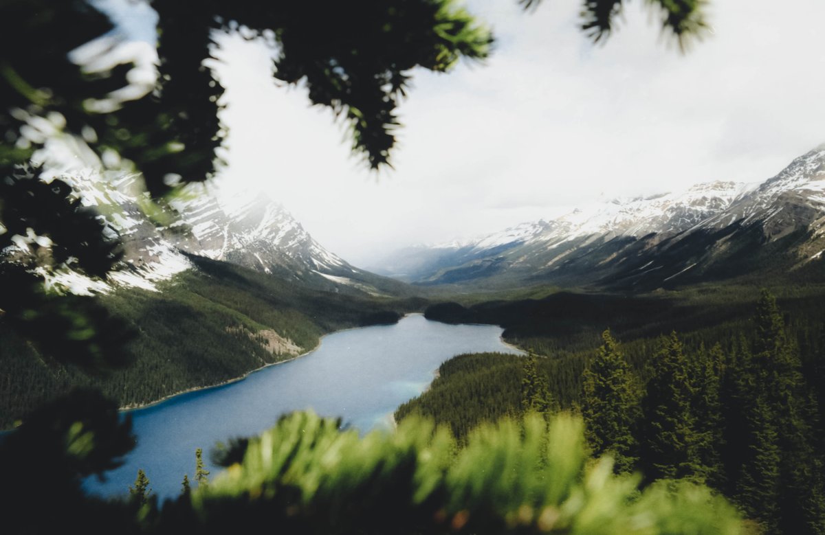 alexmack__'s tweet photo. mountain seasons on 35mm 🎞️ https://t.co/CEjFoounNK
