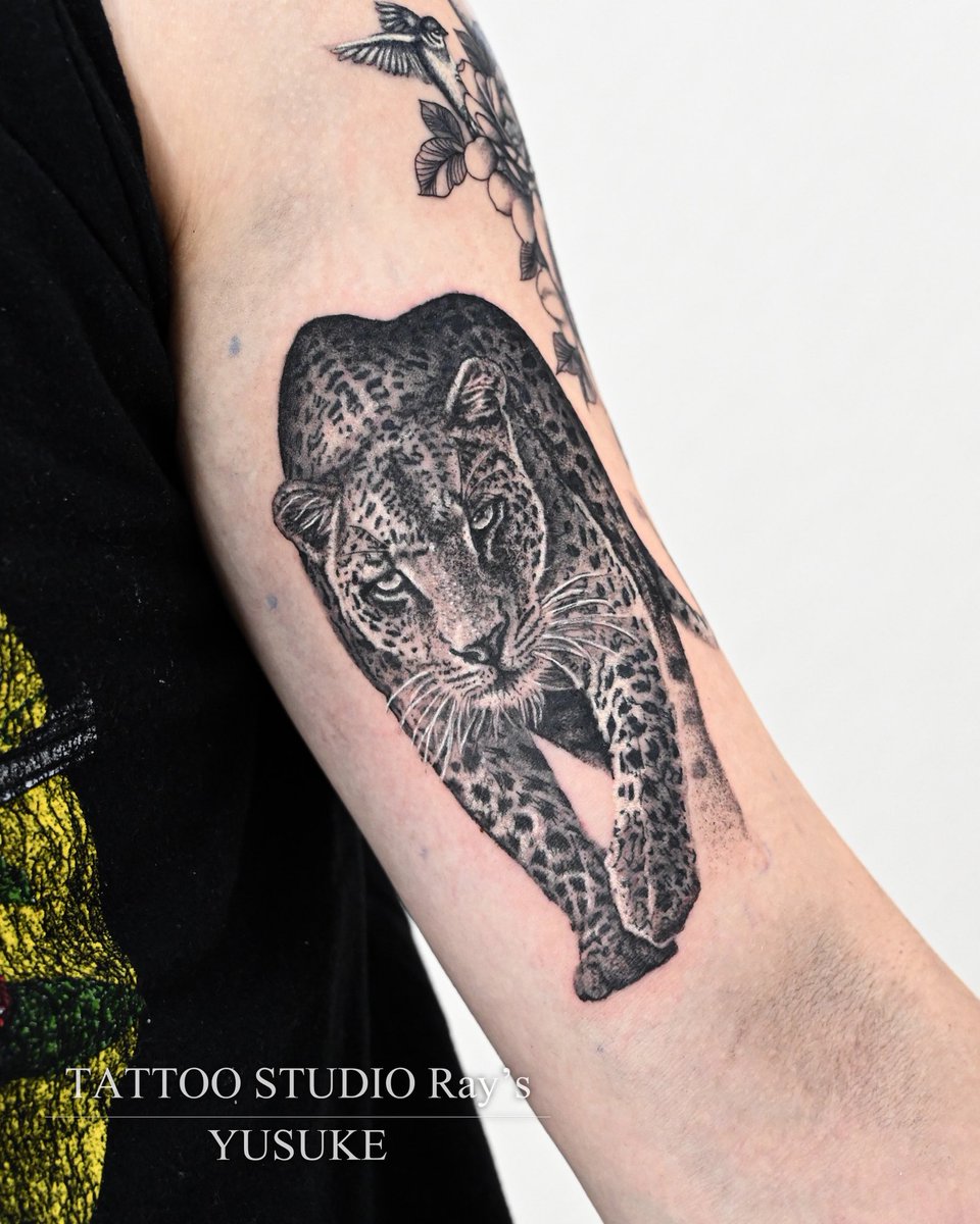rays_co's tweet photo. l◤ New ◢l

『ヒョウ』

Tattooed by YUSUKE（Kyoto Studio）

▷ オフィシャルページ・ご予約
https://t.co/wkJvz2p3uC https://t.co/e2627JIsct