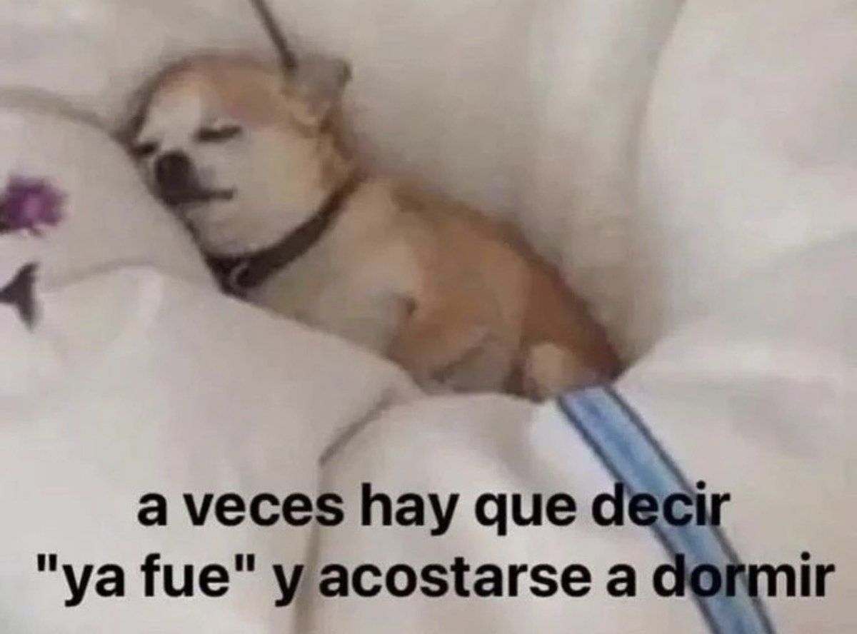 conoloracigarro's tweet photo. https://t.co/gGsDO60Dqs