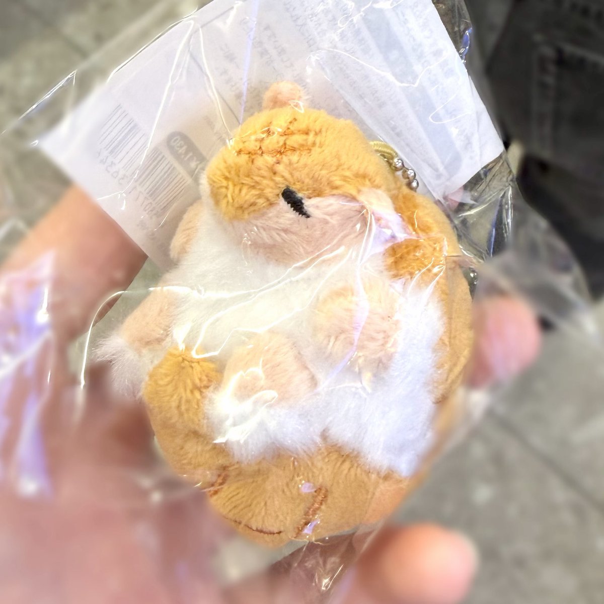 itodamo's tweet photo. 紀伊國屋にまどそし4巻買いに行ったらジョンおった！！！！！！！！POPUPやってたの知らんかった気付いてよかった〜〜っ前回は売り切れでお迎えできなかったからうれしすぎ🟠 https://t.co/syYAuQweV9