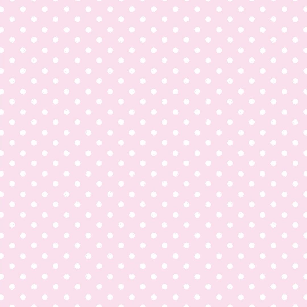 aveavie's tweet photo. CLICK!! https://t.co/vA80Yx1GCr 🌸 https://t.co/JlQYxiF4nu