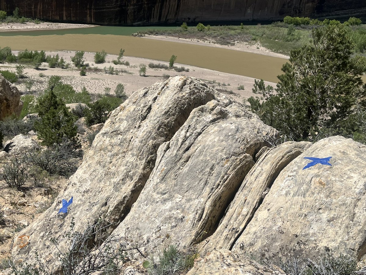 bruce_fike's tweet photo. How far is “fairly close” @JonCollinsBlack???   I can’t believe I haven’t accidentally found the f****** thing as many times as I’ve been out there.   Back at it tomorrow morning.  😣🙄🤔🤷‍♂️ https://t.co/UJd1lARoH5