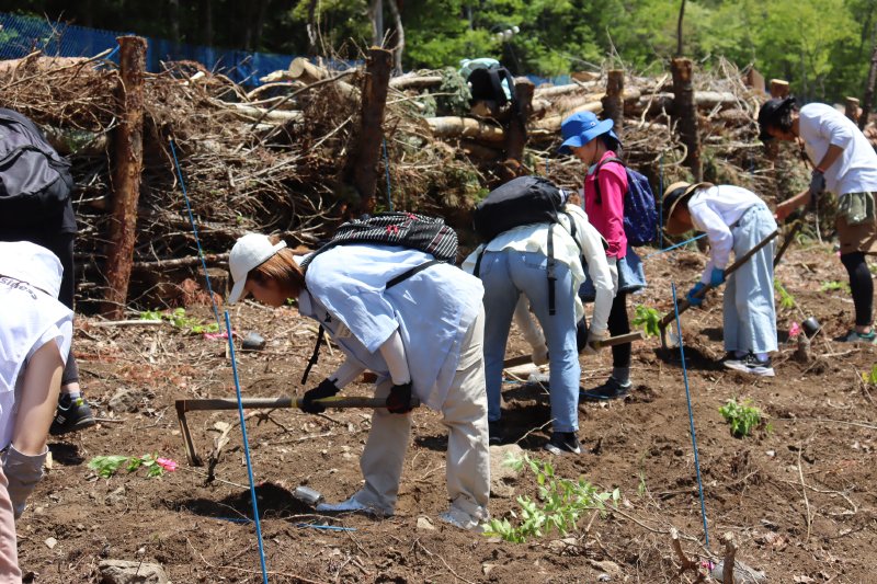 PresentTree's tweet photo. 5月16日（土）、NTTドコモビジネス株式会社さまが「ＰＴ笛吹芦川」にて植樹イベントを開催されました🌳
昨年に引き続き2回目となる今年は、社員とそのご家族36名がご参加くださり、とても良いお天気に恵まれて、春の芦川に地元植生の広葉樹266本を植えていただきました✨

https://t.co/DZgunlJWKi https://t.co/gHJIbr3UPX