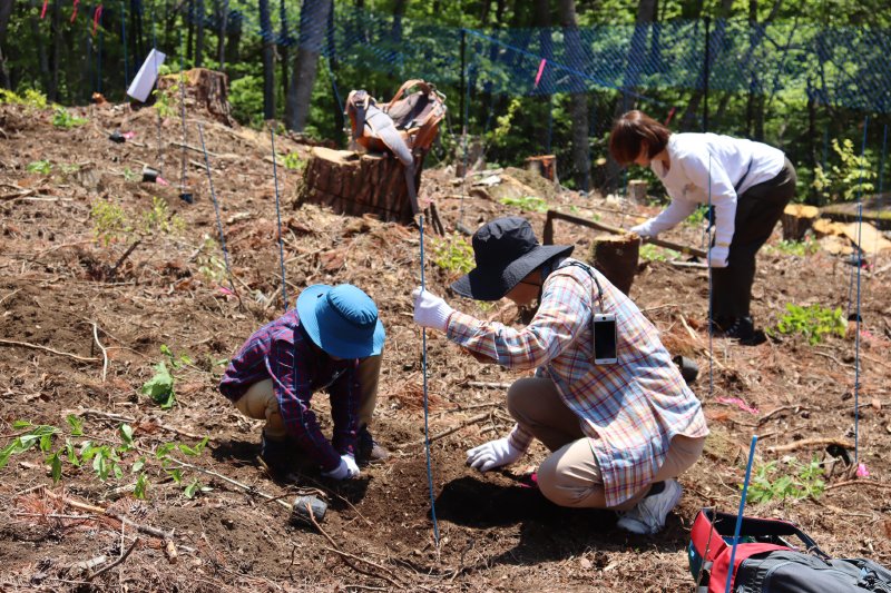 PresentTree's tweet photo. 5月16日（土）、NTTドコモビジネス株式会社さまが「ＰＴ笛吹芦川」にて植樹イベントを開催されました🌳
昨年に引き続き2回目となる今年は、社員とそのご家族36名がご参加くださり、とても良いお天気に恵まれて、春の芦川に地元植生の広葉樹266本を植えていただきました✨

https://t.co/DZgunlJWKi https://t.co/gHJIbr3UPX
