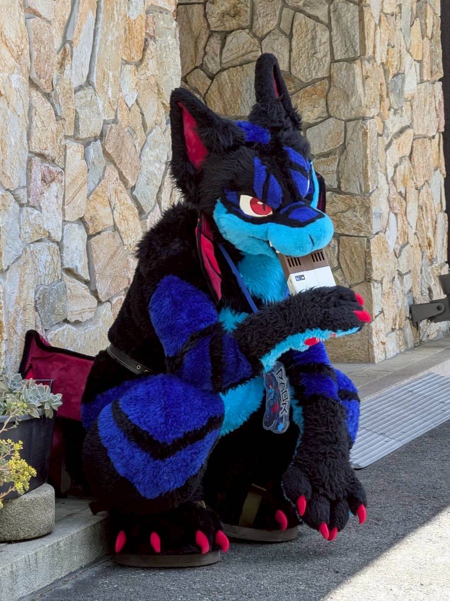 ralfo09's tweet photo. おぉーアチーアチー

 #FursuitFriday https://t.co/ygww9o3aKd