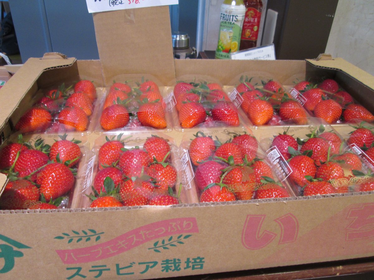 TFT_Building's tweet photo. 本日は八百屋さんが営業中です！
🥒🫛🍅🍌🍉

本日も新鮮な野菜🥬と果物🍍をお手頃価格でたくさんご用意してお待ちしております。特売品は「じゃがいも🥔 1袋 100円(税抜) 限定80袋」です。ぜひお立ち寄りください 😃

#TFTビル 
#有明 https://t.co/FpeXNuS9oK