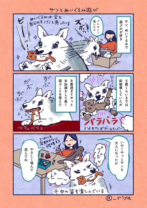 おおかみいぬのサン🐺
「サンとぬいぐるみ遊び」

遊び方がみんな違ってみんなかわいい 