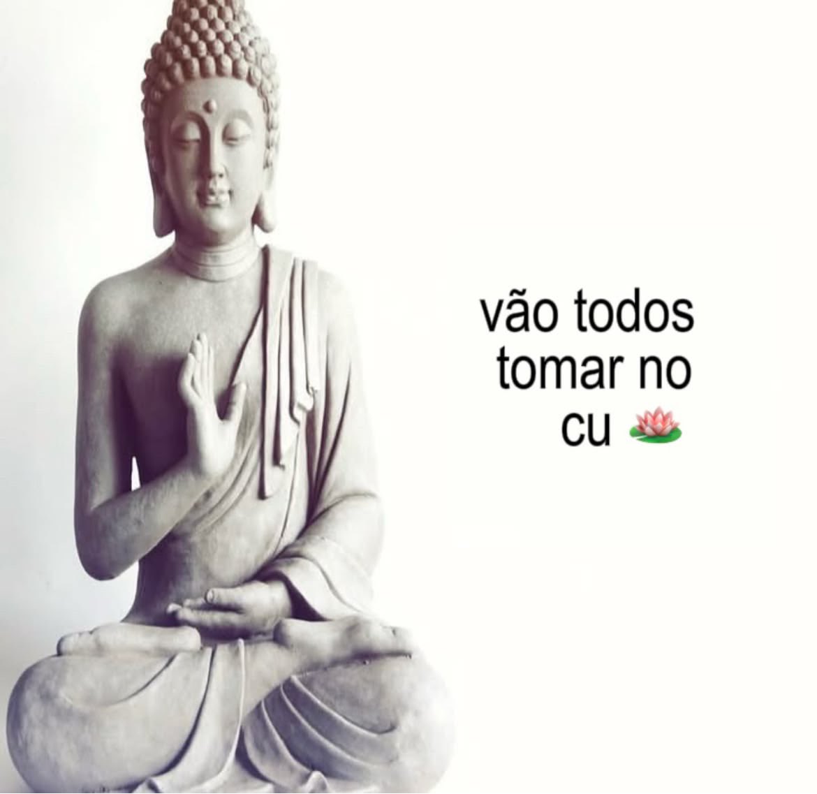 eloh ꪆৎ tarot 🪷 tweet media