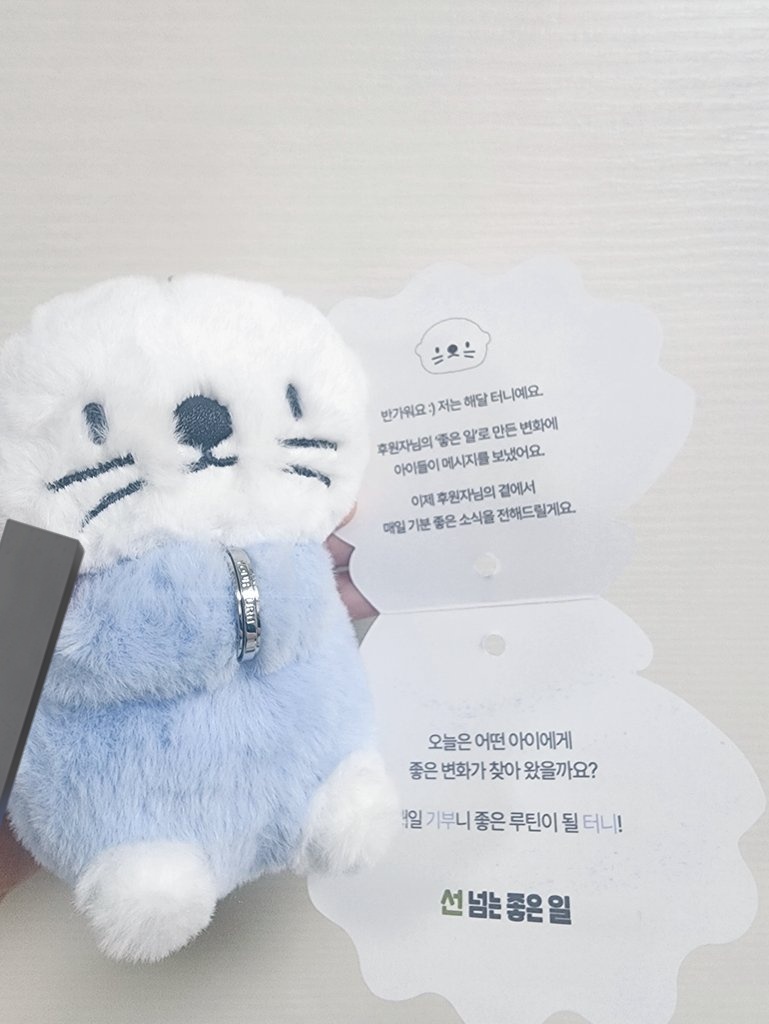 정설화 tweet media