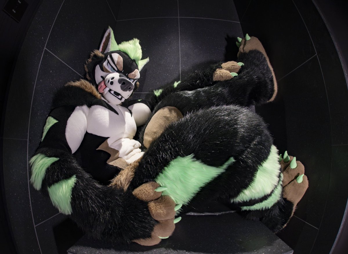 ハム Ham🔜Furrymosa tweet media