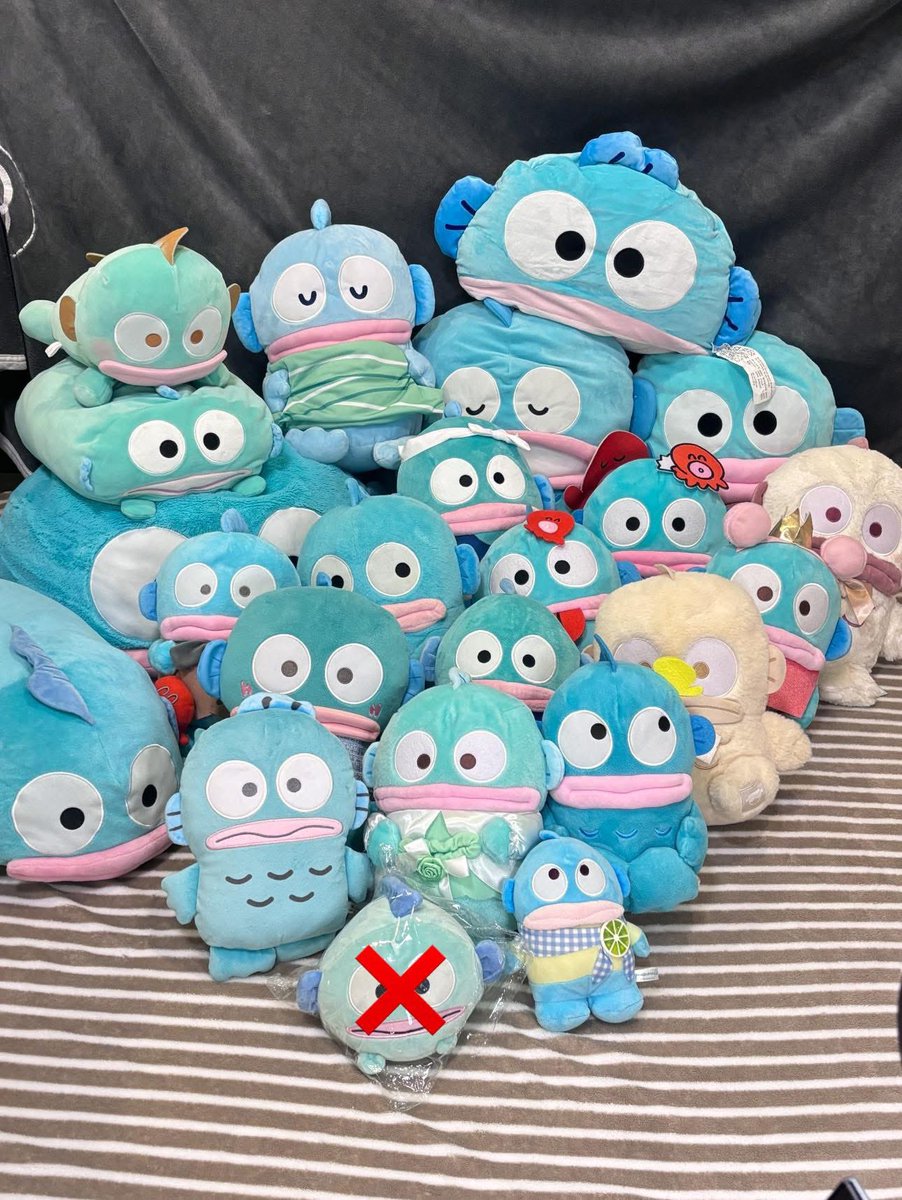 _preemwaa's tweet photo. 📌📌ตอนนี้เหลือเท่านี้น้า🩵

— ใครสนใจน้องฮัง มีงานสปอยในอพช.น้า—

#ตลาดนัดsanrio #hangyodon #ตลาดนัดซาริโอ้ #ตุ๊กตามือ2 #ตุ๊กตามือสอง #ตลาดนัดของเล่นญี่ปุ่น #ของสะสม https://t.co/cSYW4WmJhl