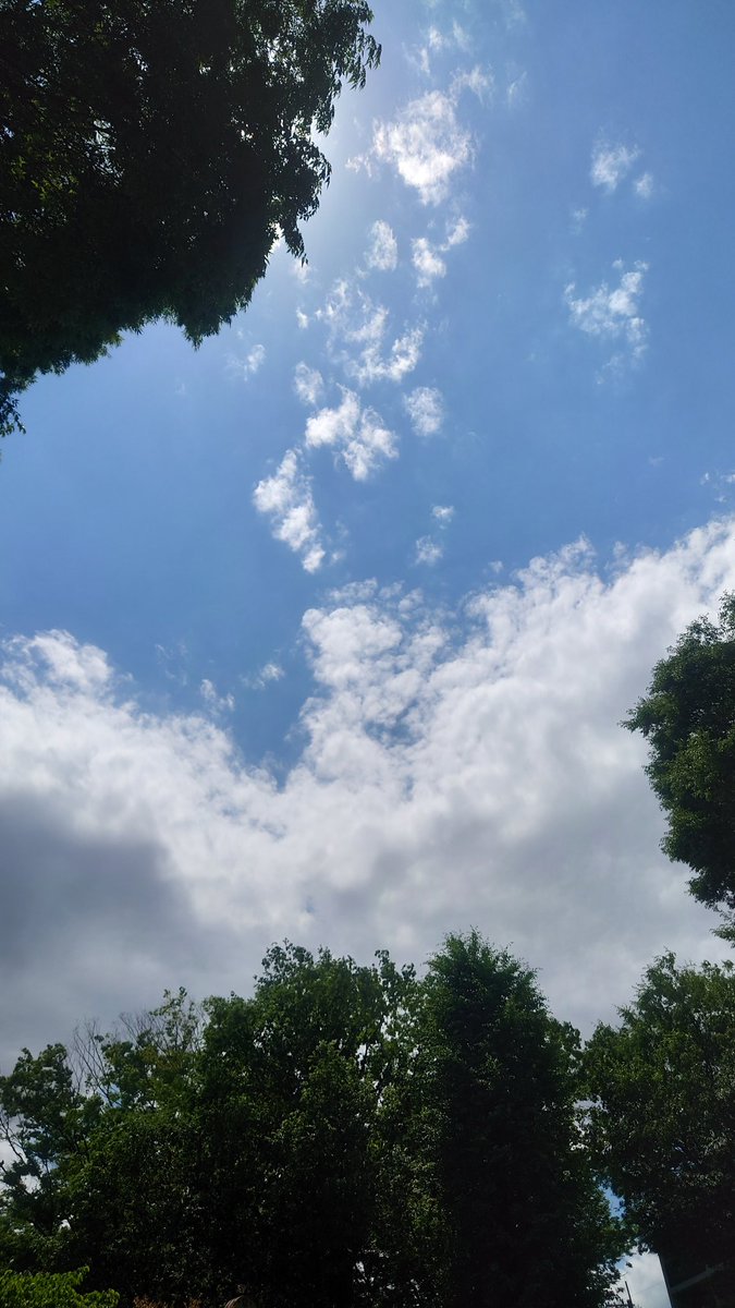 masa6907's tweet photo. 夏の日差しですね
外での休憩もしんどくなってきました
今日でスーツも終わりかな。
古い言葉でクールビス対応しないと
暑さに負けず今日も１日お元気で🎵 https://t.co/nBYBnY7qWy