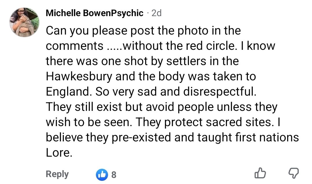 lowlandsapien's tweet photo. Junjadee discourse around this photo apparently showing one.
"So very sad and disrespectful" to shoot them, poor things. https://t.co/Vbl1aslZCo