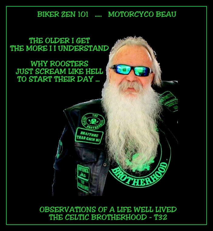 MotorcycoBeau© tweet media