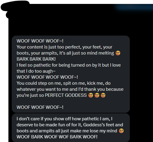 ShinoKatze's tweet photo. Imagine waking up to a message like this. FFXIV players are soooooo unhinged and weird.😭I don't think anyone can do worse than this dog, but you can slide into my DMs and try.🐶 https://t.co/GbA2OI9645