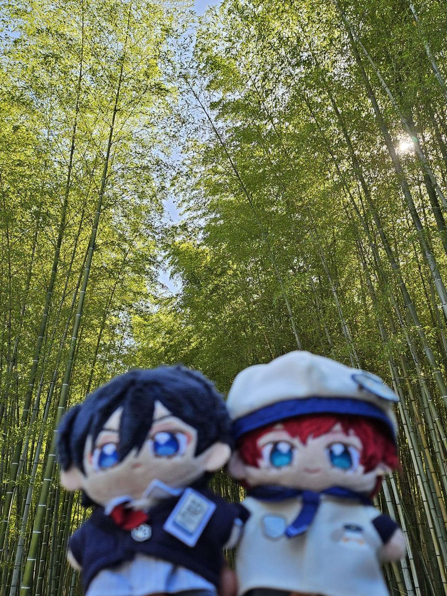 hiirohokke's tweet photo. ❤️💙 https://t.co/qMZVpj1LCf