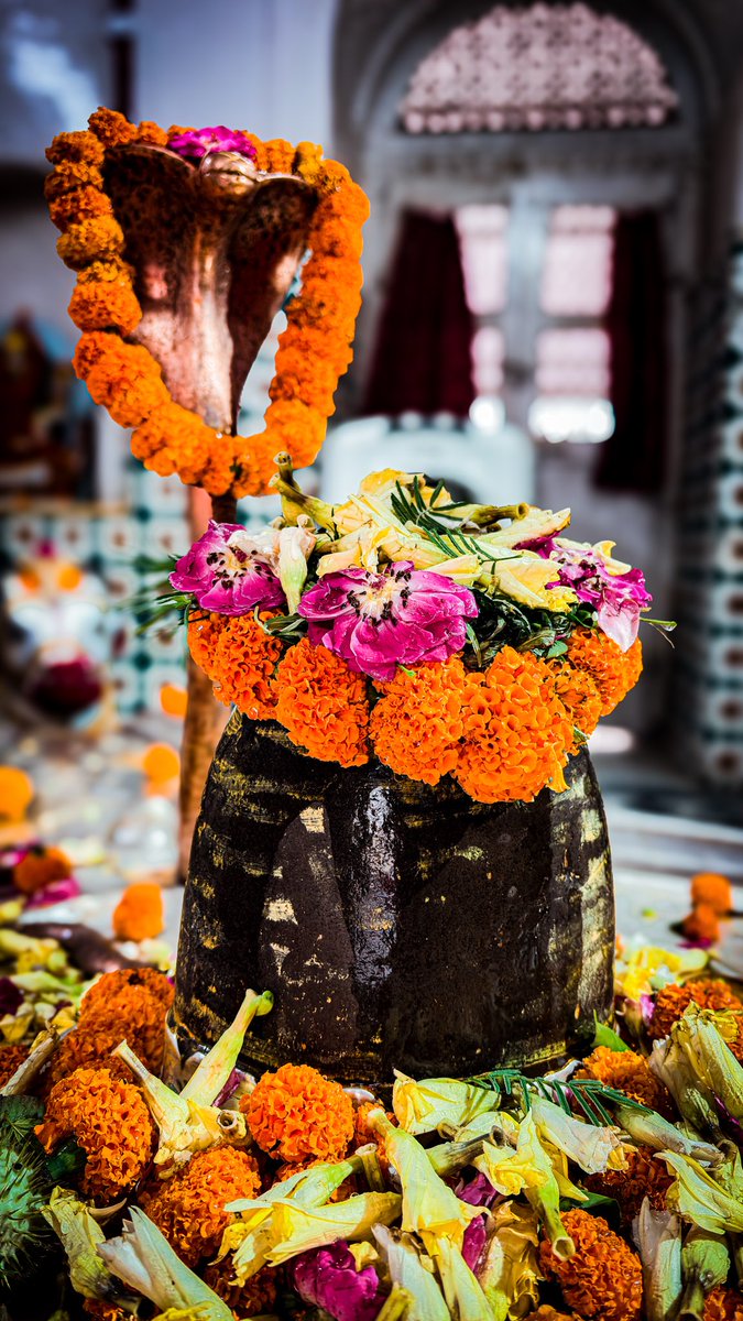 ashishd30's tweet photo. हर हर महादेव 
जय शिव शम्भु 🙏🏻 https://t.co/BJQAakLrpi