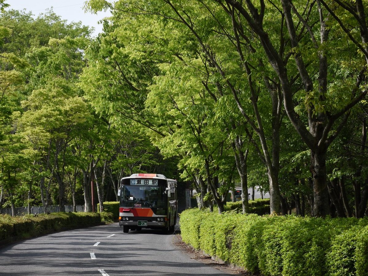 busnosyako's tweet photo. #5月を写真4枚で振り返る https://t.co/CfPTjDQ6M9