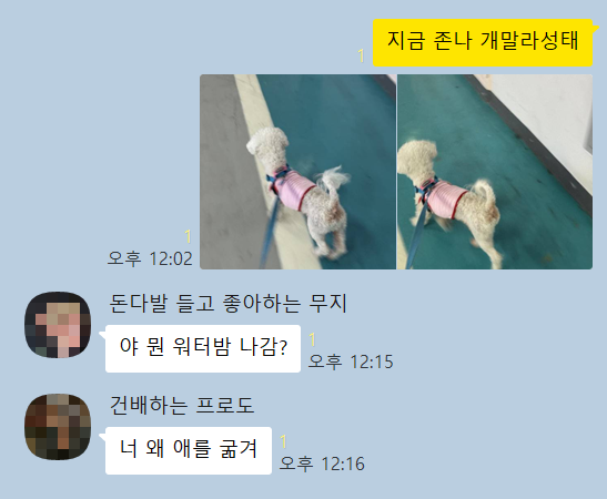 강보ㄹ| tweet media