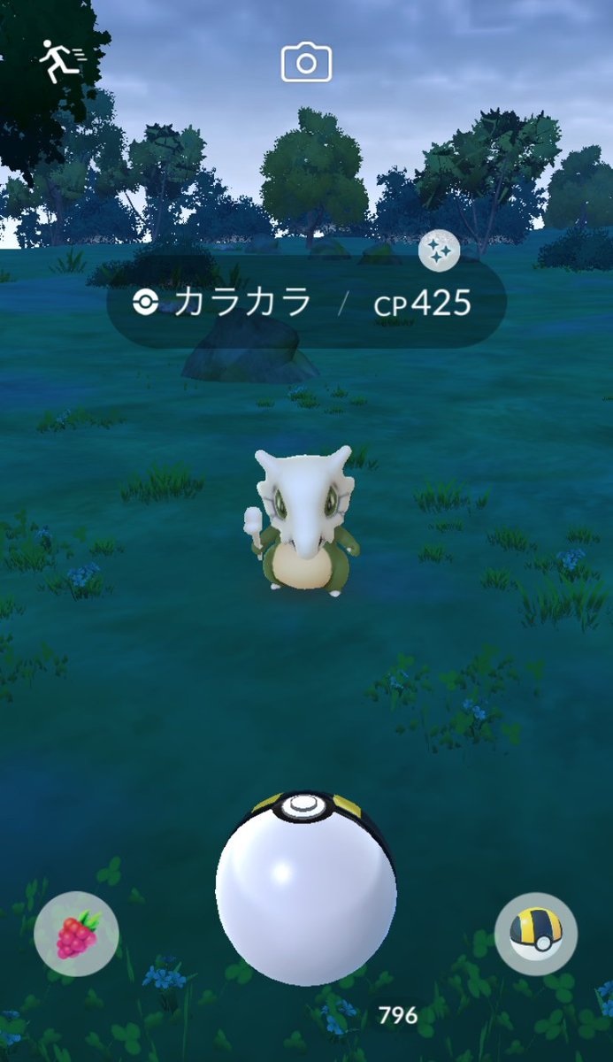 GoToHell_Poke's tweet photo. 久しぶりの…
良い感じです♪
#ポケモンGO #色違い https://t.co/jLWYthdLZK