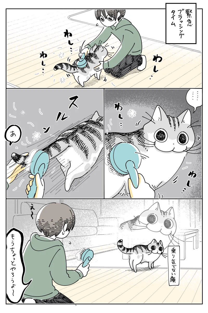 キュルZ on X: 