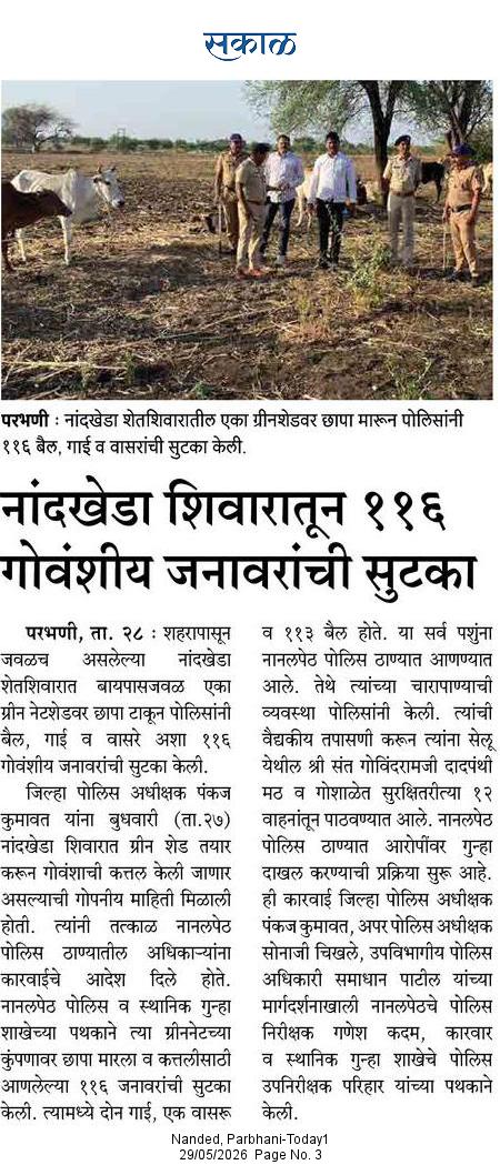 Parbhani_Police's tweet photo. "परभणी पोलिसांची धडक कारवाई; ११६ मुक्या जीवांना मिळालं जीवनदान!"
#ParbhaniPolice #GovanshRescue #BreakingNews #AnimalProtection #CrimeNews
#परभणीपोलीस #गोवंशसुटका #धडककारवाई  #परभणी #मराठीबातमी
#PankajKumawat #AnimalWelfare #SaveAnimals
 #ParbhaniPolice #GovanshRescue https://t.co/m9oechFm6r