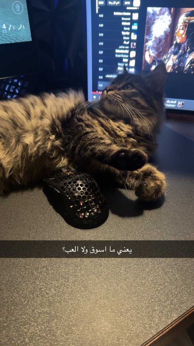 0iil1p's tweet photo. عشوائيات ليو https://t.co/b4MPADYeBZ