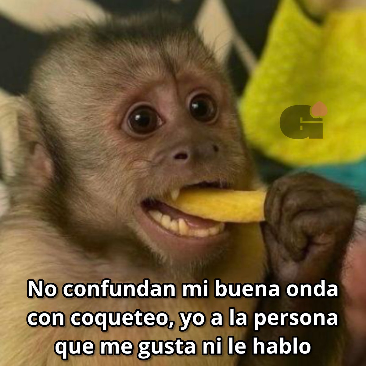 Guarromantico_'s tweet photo. No se confundan. https://t.co/9xkppNZYVo