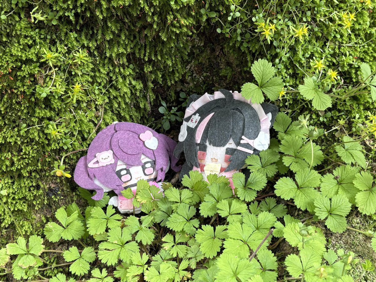 ちょこちゃんページです♡ ﾁｮｺﾁｬﾝ/てゃん (@chokopaaa) / Posts / X