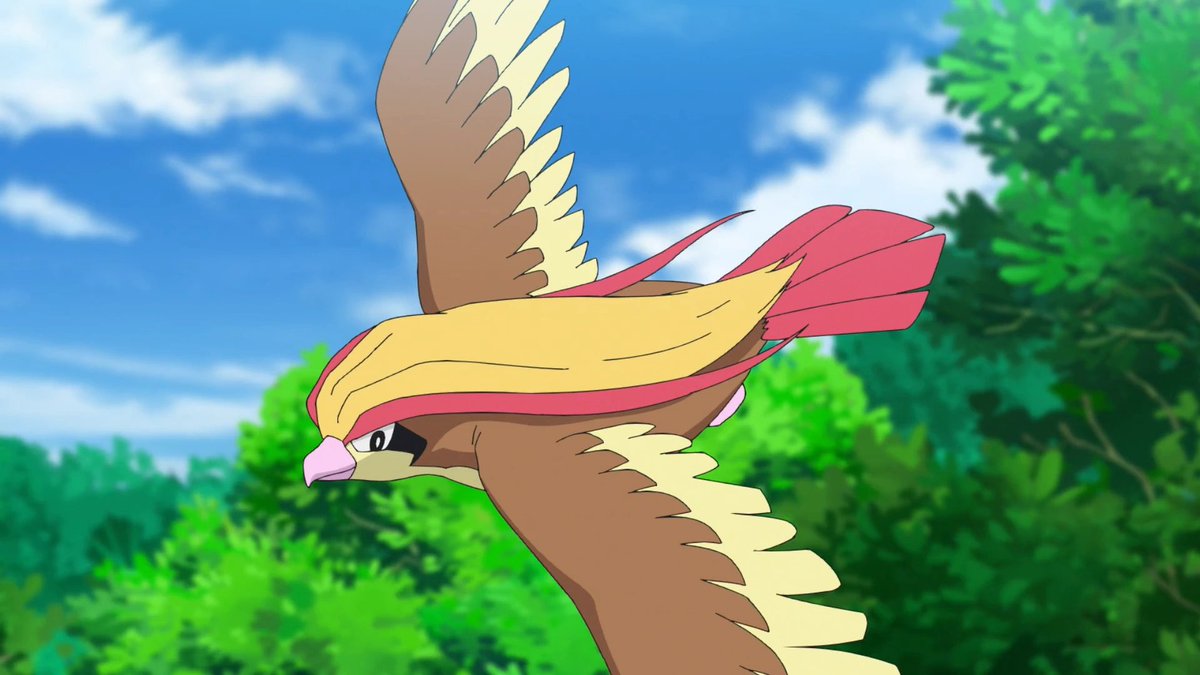 Birdboy tweet media