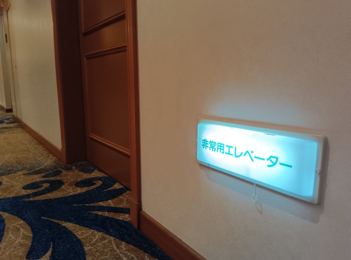 Datesaki_CT's tweet photo. 名古屋市内のホテルで見つけた非常用エレベーターの誘導灯?
これは #文字だけ非常口 に含まれるのだろうか https://t.co/RMYZpq7qYj