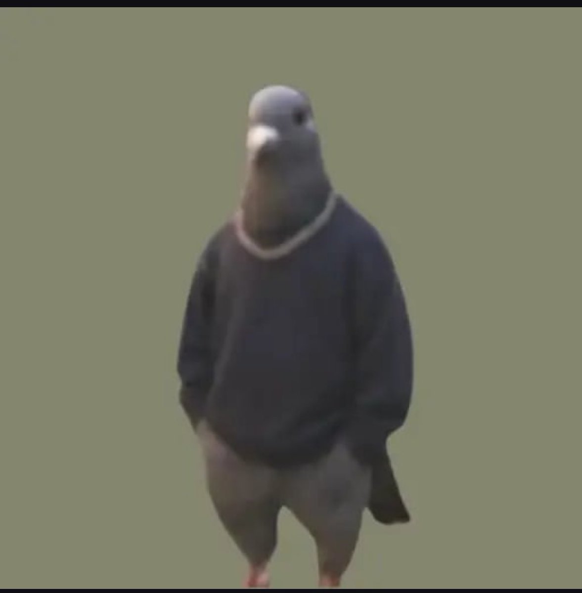 HectorR83173727's tweet photo. That’s a chill ass pigeon https://t.co/BriRzWCL0w
