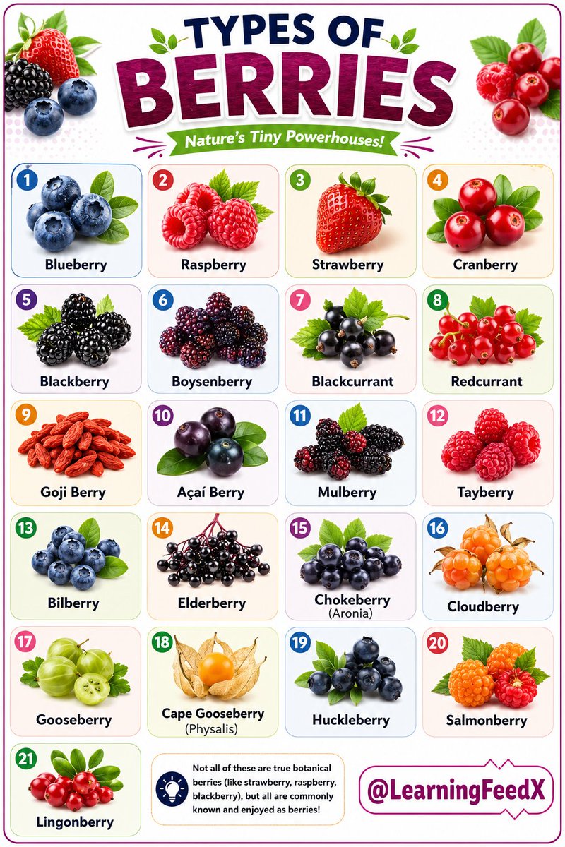 Berry Types You Should Know 🍓