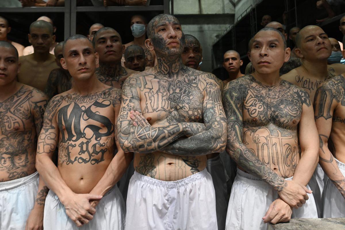 US Homeland Security News tweet media