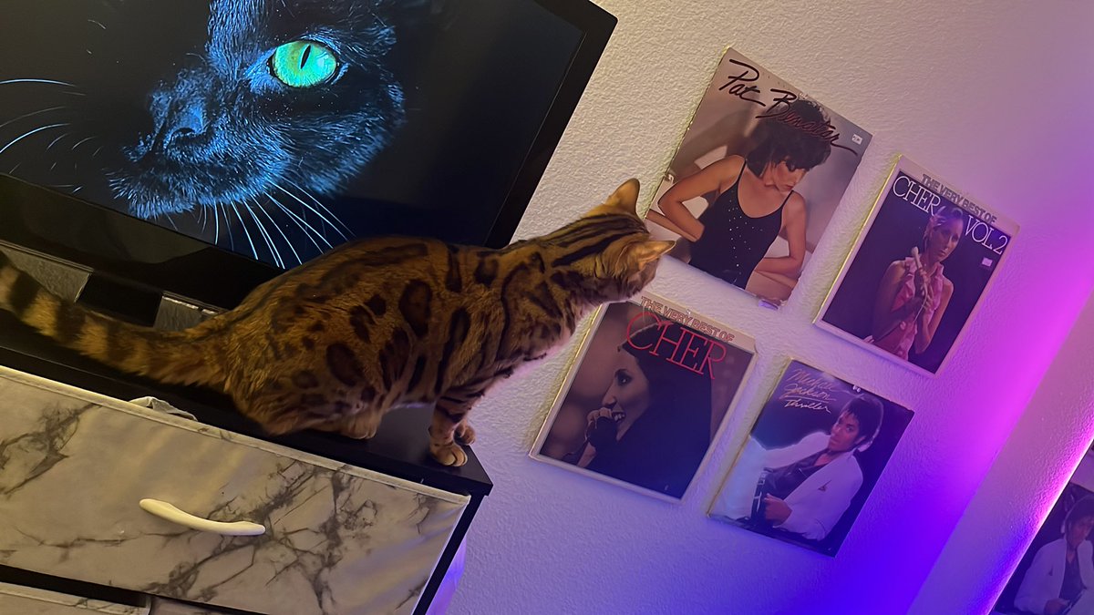 notghouIs's tweet photo. this bitch... https://t.co/R9mykzIyXO