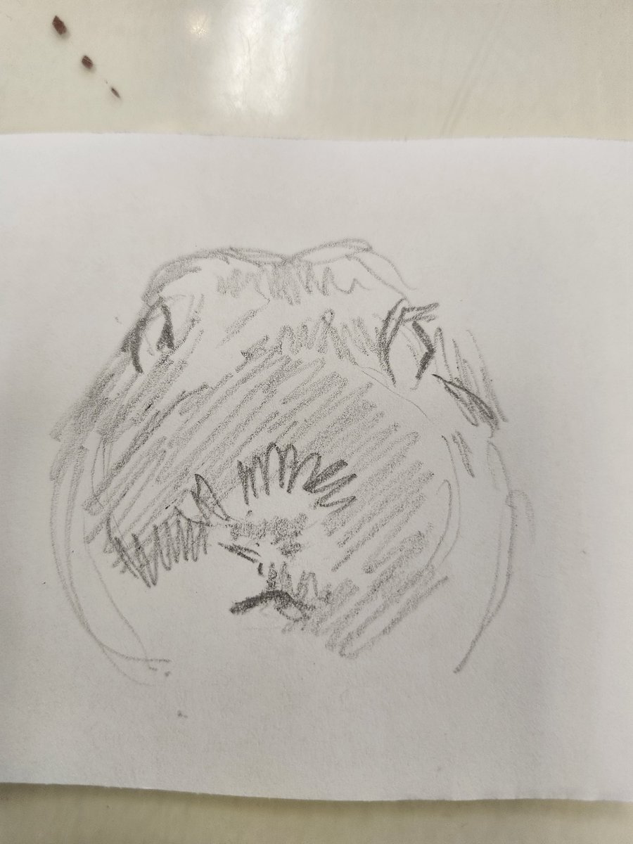 MothyA5's tweet photo. Progress photos https://t.co/itRO8CqAlf