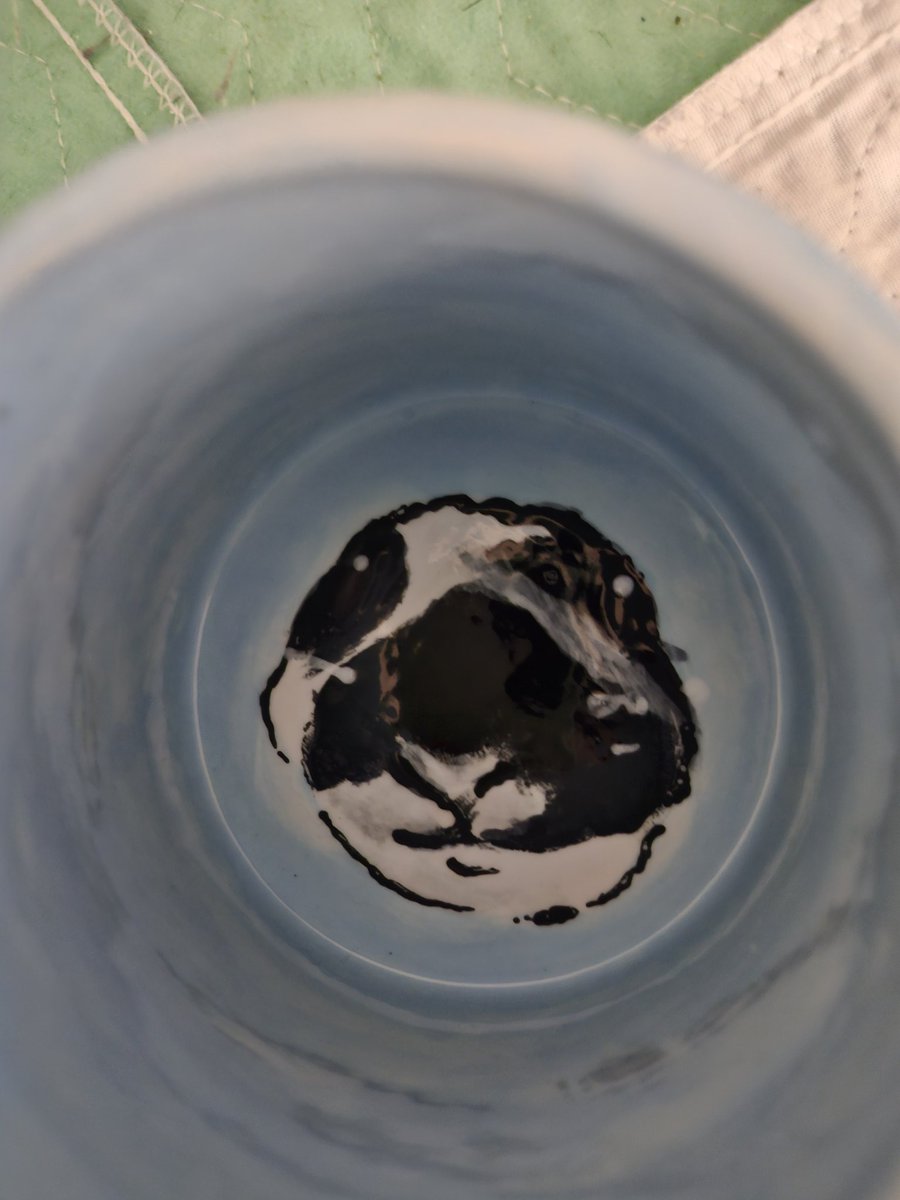 MothyA5's tweet photo. Showed this to the bunny and it was on site violence https://t.co/QPA4cM1JCJ