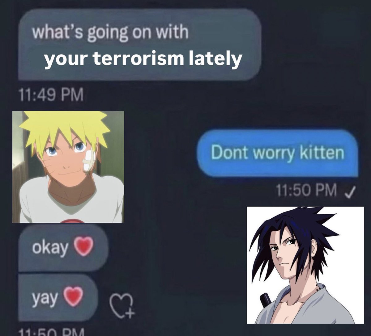 a ₍ᐢ. ̫.ᐢ₎ tweet media