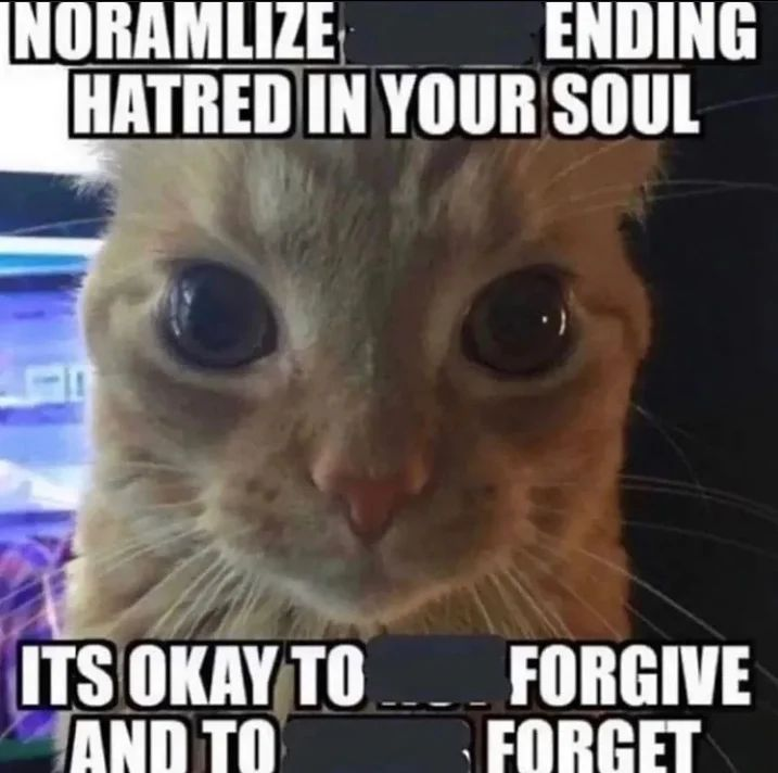 PunchingCat's tweet photo. https://t.co/facG6iNb2y