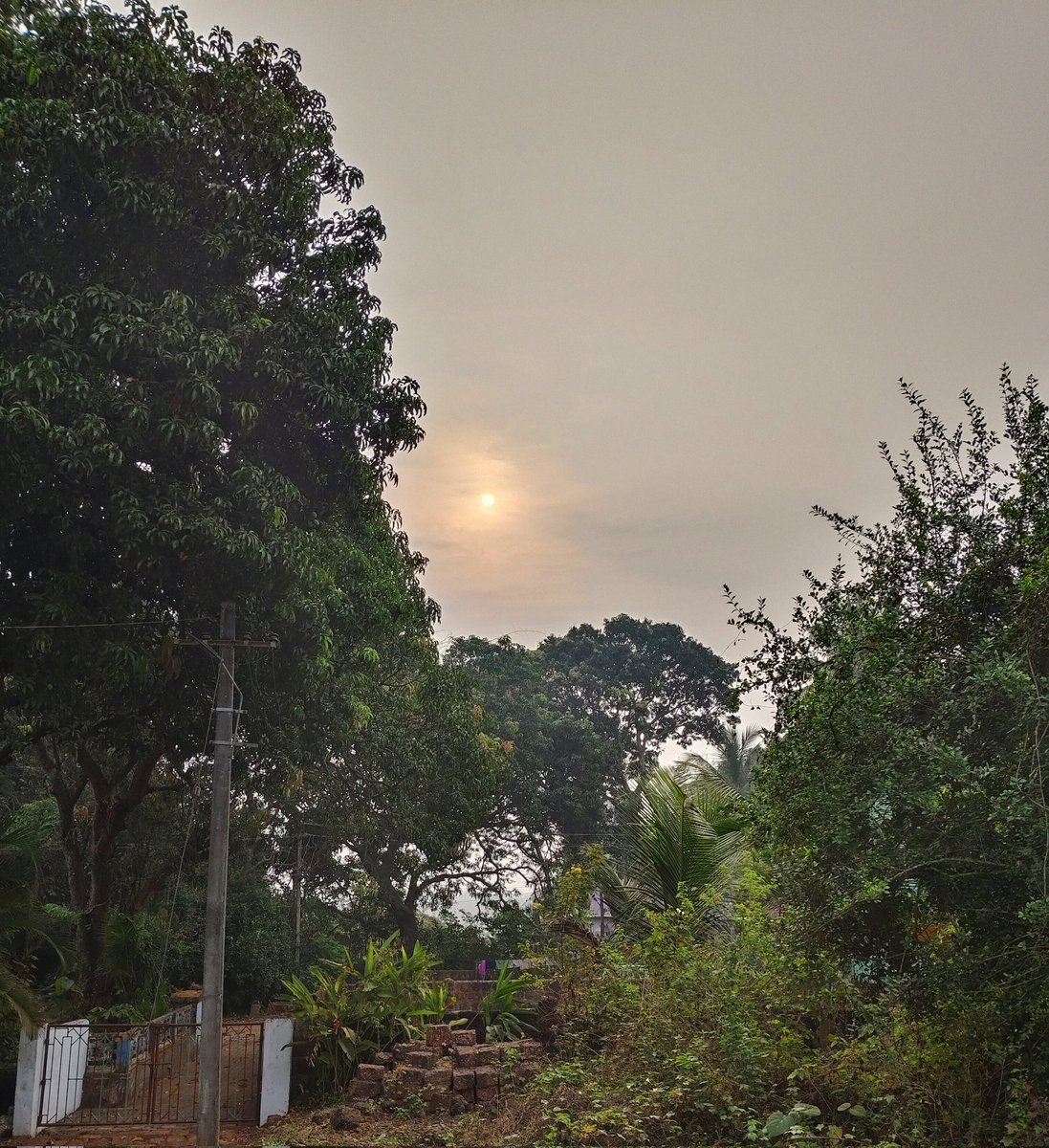 Veronicdsouza's tweet photo. Sunrise,Chai,and Quiet Mornings with the Greens..💚 🌿✨ 🫖
Sometimes the Simplest routines are the Best Ones...😊
Good Morning!!🌥️🙋🏼‍♀️
#ChasingSunrise #Goa #LovewhereYouLive #MorningVibe #SkyWorld #PeacefulMoments https://t.co/joAC3vsiem