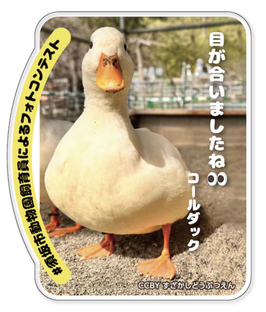 須坂市動物園【公式】 tweet media